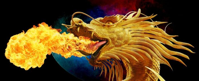 Was ist mit einem Hausdrachen gemeint Was ist mit einem Hausdrachen gemeint
