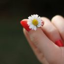 Was bedeuten rote Fingernägel bei Frauen? Aufklärung