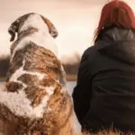 Hund gestorben, Beileid ausdrücken - Tipps & Ratschläge